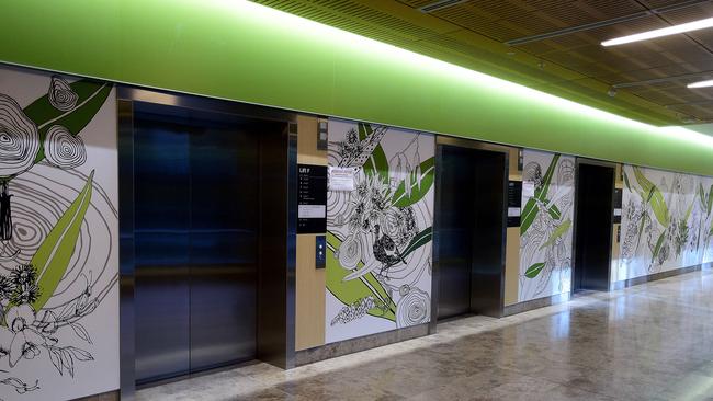 The artwork on the lifts for the 'fauna' section of the hospital at the new RAH hospital. Picture: Bianca De Marchi