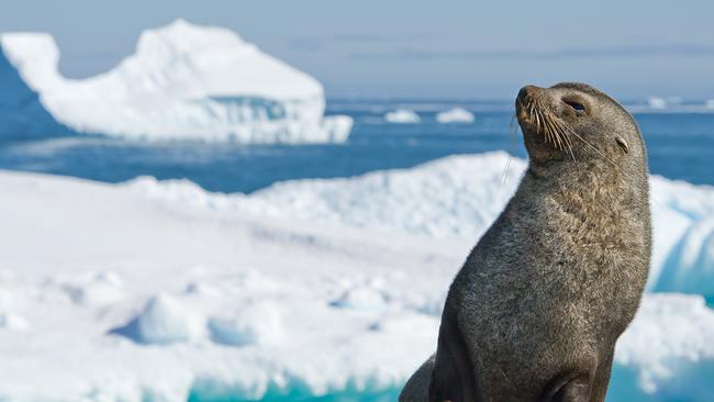 A disagreement is raging between the Tasmanian government and the Commonwealth over planned upgrades to Macquarie Wharf, which is crucial infrastructure for the ongoing operations of the Australian Antarctic Program. Picture: iStock