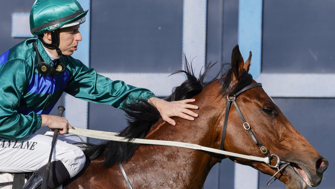 Golden Rose winner Jacquinot can take his game to a new level. Picture: Mark Evans–Getty Images