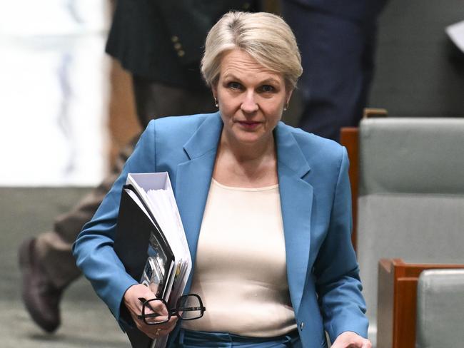 CANBERRA, AUSTRALIA  - NewsWire Photos - November 21, 2024: Minister for the Environment and Water of Australia, Tanya Plibersek during Question Time at Parliament House in Canberra. Picture: NewsWire / Martin Ollman