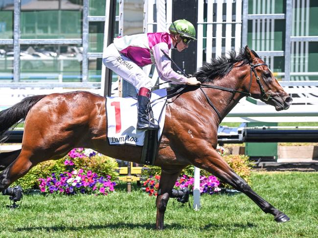 Coleman ridden by Ben Melham wins the Lamaro's Hotel Chairman's Stakes at Caulfield Racecourse on February 03, 2024 in Caulfield, Australia. (Photo by Reg Ryan/Racing Photos via Getty Images)