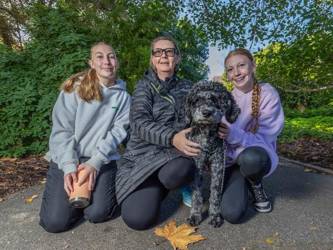 RSPCA SA's Million Paws Walk in Adelaide on May 25, 2025. Picture: Ben Clark