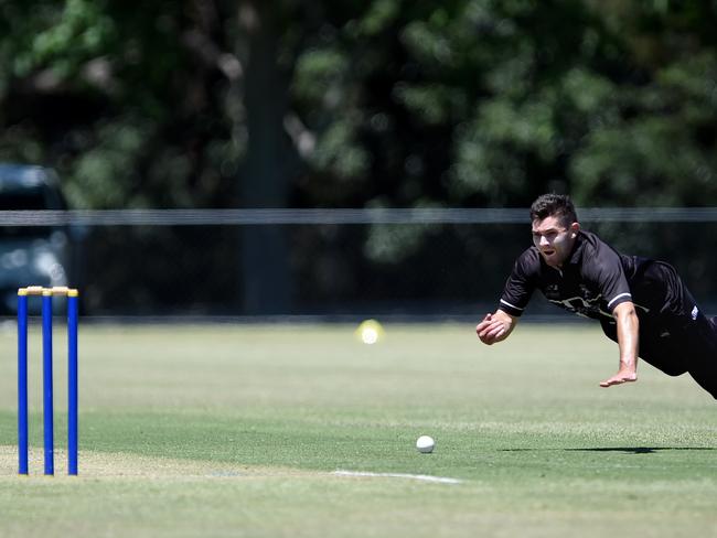 Camberwell Magpies were brilliant in the field on Saturday.