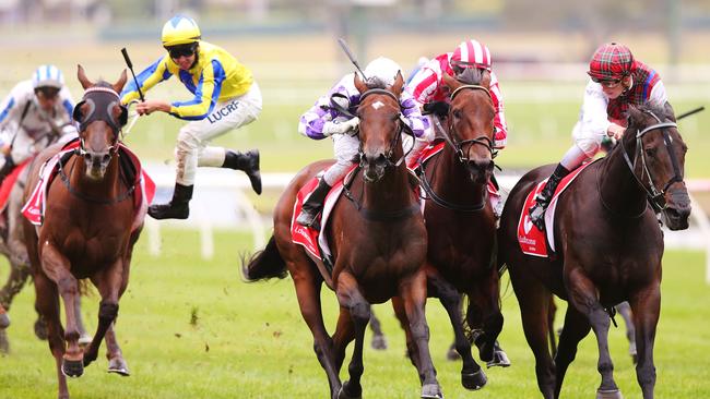 Jockey Ben Thompson falls off Leia in race 2, The Hyland Race Colours Handicap at Ladbrokes Park Hillside Racecourse on April 06, 2016 in Springvale, Australia. (MANDATORY CREDIT: Michael Dodge/Racing Photos)