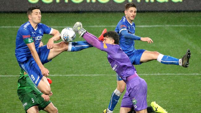 Avondale lost the NPL grand final to Bentleigh Greens last season. Picture: Hamish Blair