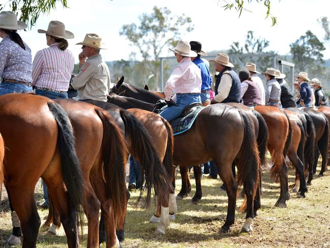 Photo Tanya Easterby / The Gympie Times