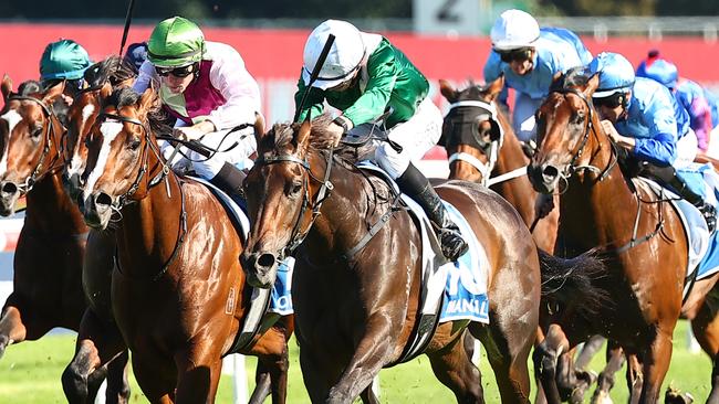 Manaal will trial at Warwick Farm on Tuesday. Picture: Jeremy Ng/Getty Images