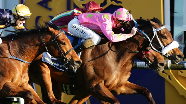 Kenjorwood has won three of his six starts at Caulfield. Picture: Norm Oorloff