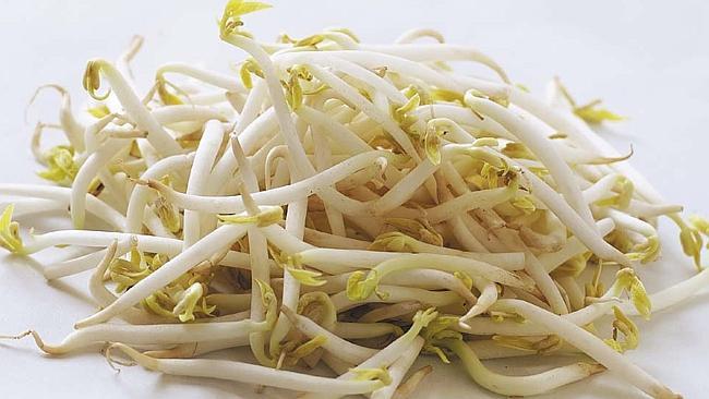 Salmonella warning: Bean sprout contamination source unknown