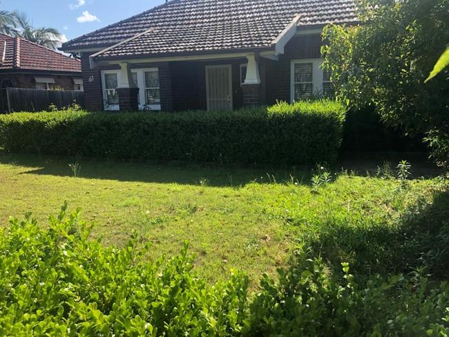 Before The Sauce inquiry - unattended lawn and hedge at the Strathfield home of Labor MP Jason Yatsen-Li. Picture: Supplied