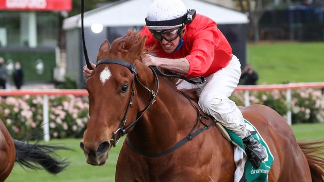 Cherry Tortoni, ridden by Billy Egan, wins the Vase. Picture: Getty Images