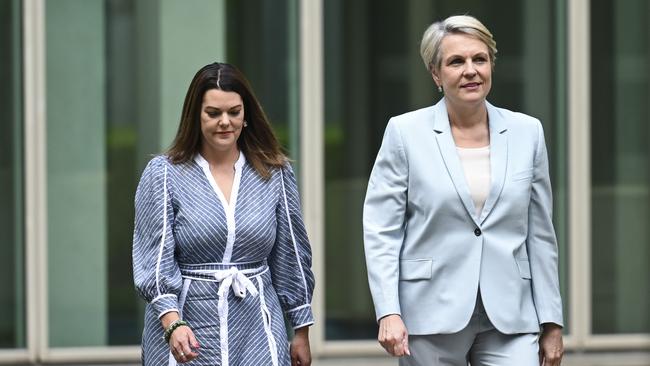 Federal Water Minister Tanya Plibersek and Greens senator Sarah Hanson-Young hold a press conference at Parliament House in Canberra. Picture: NCA NewsWire / Martin Ollman