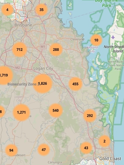 Mapping, as of June 2023, showing the spread of fire ants on the Gold Coast.