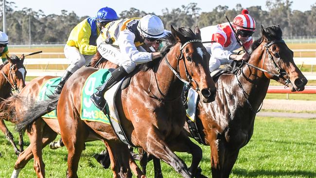 Vivy Air and jockey Declan Bates should perform well in Saturday’s Group Thousand Guineas at Caulfield. Picture: Racing Photos via Getty Images