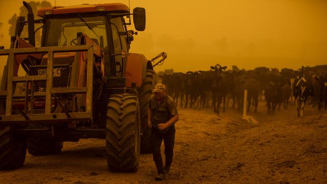 Coolagolite beef farmer Steve Shipton on property, on the NSW south coast. Picture: Sean Davey