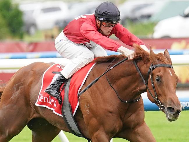 Palm Angel ridden by Ethan Brown wins the Henley Homes Merson Cooper Stakes at Caulfield Racecourse on November 30, 2024 in Caulfield, Australia. (Photo by Scott Barbour/Racing Photos via Getty Images)