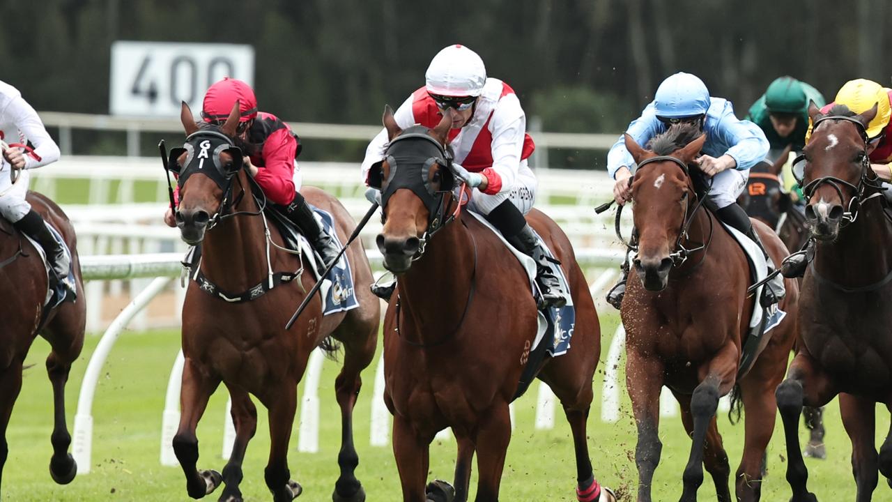 Messara weighs up Scone Cup tilt with The Coast winner