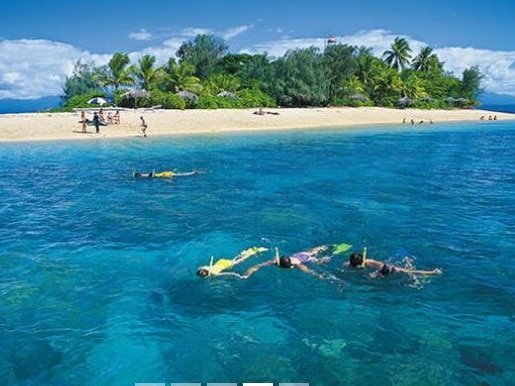 Full Day Cruise to Low Isles with Lunch and Snorkelling. Picture: RedBalloon