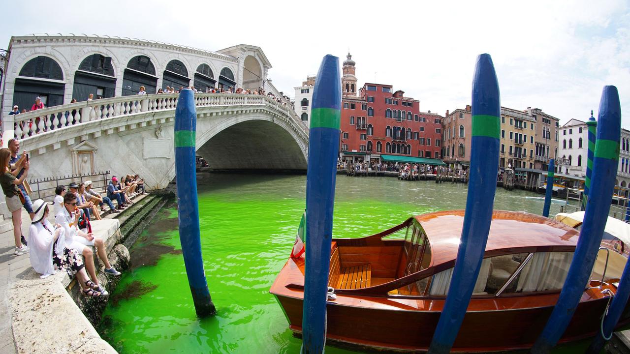 Venice Grand Canal turns bright green, authorities investigating why ...