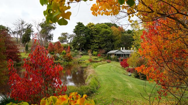 The house sits at the end of a tree-lined driveway