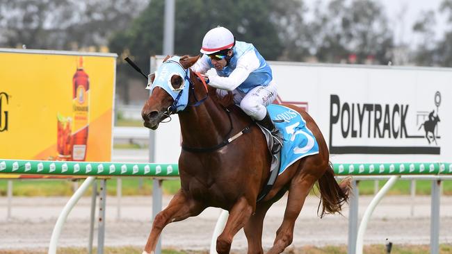 Mishani Spartan wins the Aquis Gold Nugget at the Gold Coast. Picture: Grant Peters — Trackside Photography