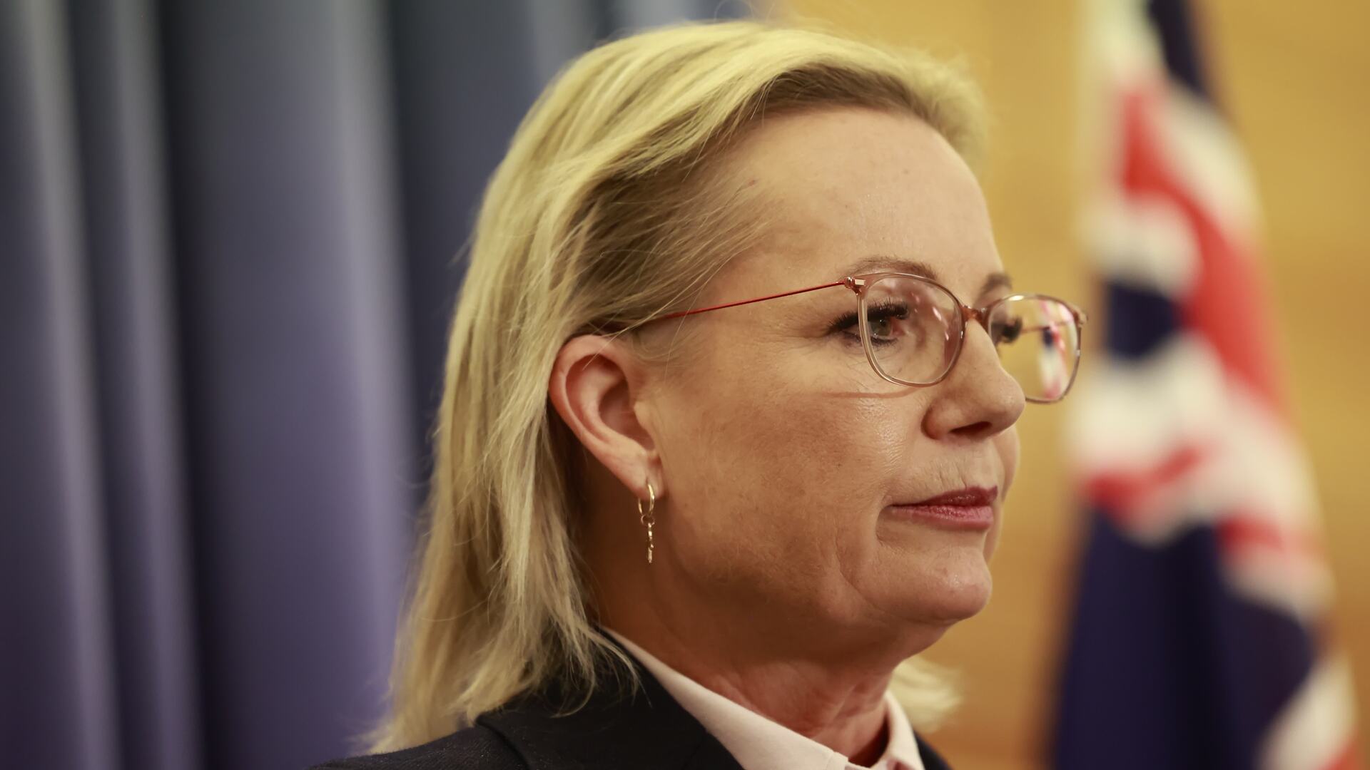 ‘Torn’: Claims Sussan Ley is surrounding herself with supporters over experienced people