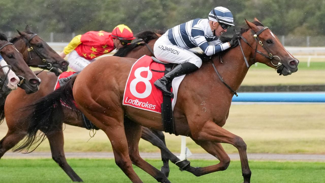 Oakleigh Plate winner Uncommon James is looking for consecutive Group 1 wins when he contests The Galaxy. Picture: Getty Images