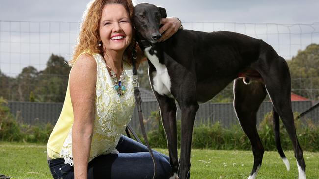 A way of life under threat: Noelene Holloway has been involved in greyhound racing since she was a child. Picture: Mark Scott