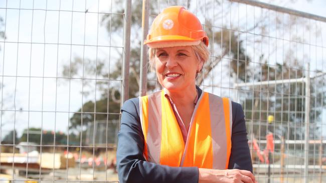 Federal Environment Minister Tanya Plibersek is facing calls to reverse her decision to block the goldmine at Blayney Picture: Nikki Davis-Jones