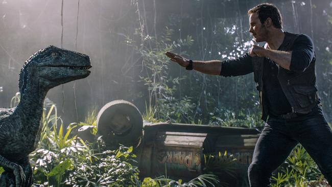 Chris Pratt and a velociraptor in Jurassic World.