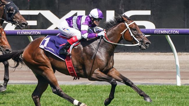 VRC Derby winner Riff Rocket is looking to add the Group 1 Australian Guineas to his record at Flemington on Saturday. Picture: Getty Images