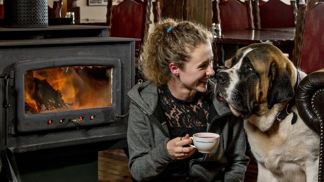 Coffee with a St Bernard? Yes please. Picture: Jerad Williams