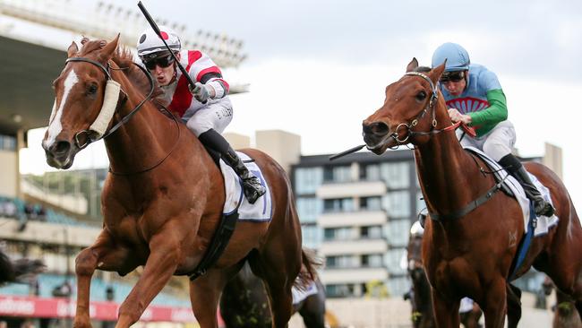 Pinstriped earned a Cox Plate start with his win in the Group 2 Feehan Stakes, which will be run on grand final eve at The Valley in 2024. Picture: Racing Photos via Getty Images