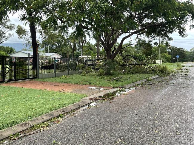 Tropical Cyclone Kirrily 2024: Trees fallen across the suburb of Kelso.