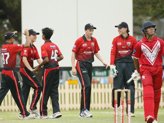 Norths Sydney take a wicket. Photographer: Warren Gannon Photography