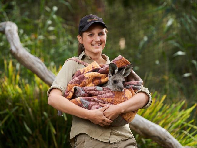 Keeper, Clare Andrew with Bingo, a 12 month old joey rescue at Warrawong Wildlife Sanctuary in Mylor, where you can donate to adopt an animal and support their cause during the COVID-19 closure, Thursday, April 16, 2020. Picture: MATT LOXTON