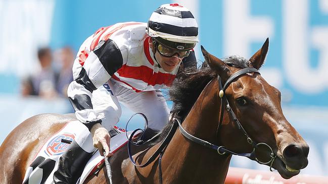 The Mitch Freedman-trained Broadwayandfourth wins at The Valley on Saturday. Picture: Getty Images