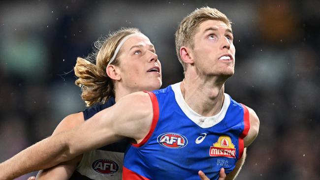 GEELONG, AUSTRALIA - JULY 20: Sam De Koning of the Cats and Tim English of the Bulldogs contest the ruck during the round 19 AFL match between Geelong Cats and Western Bulldogs at GMHBA Stadium, on July 20, 2024, in Geelong, Australia. (Photo by Daniel Pockett/Getty Images)