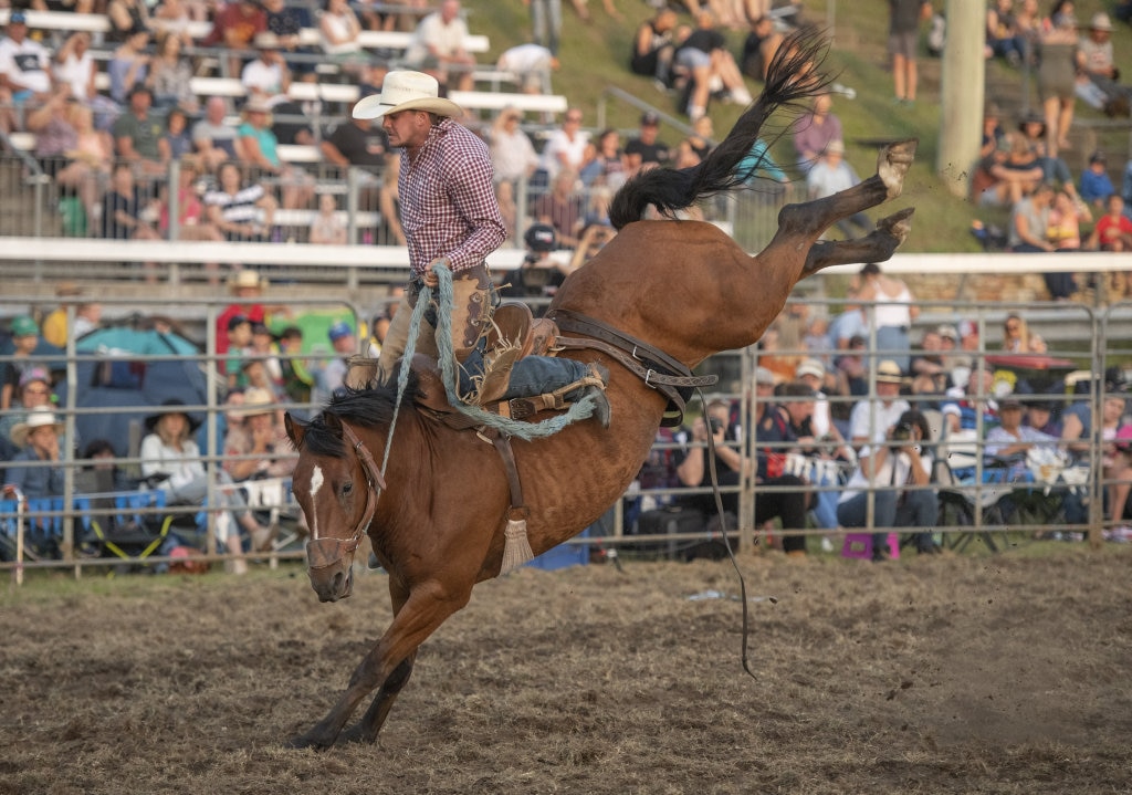 High riding but frustration in the saddle bronc at the Lawrence Twilight Rodeo. Picture: Adam Hourigan