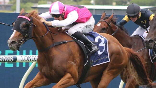 Joe Pride was happy with Expat at her first run for his stable and feels she will be competitive in the Hawkesbury Crown. Picture: Grant Guy