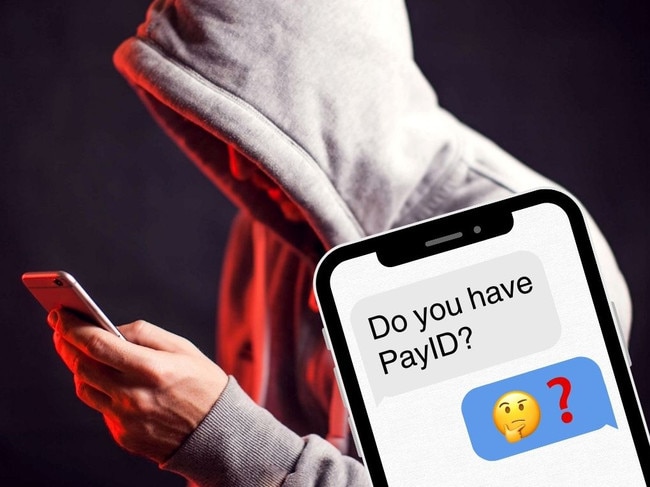 Artwork for âDo you have PayID?â: Sunshine Coastâs biggest scams and how to spot them. Picture: Supplied