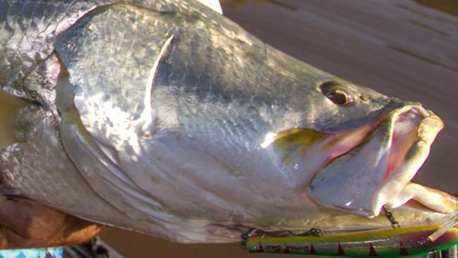 Stewie Martin with 110cm of Barra caught trolling his favourite 8” Barrabait in a tight coastal creek.