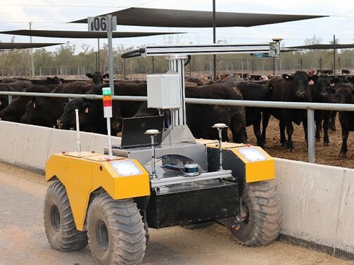 Future of robotic farming on show at Millmerran feedlot