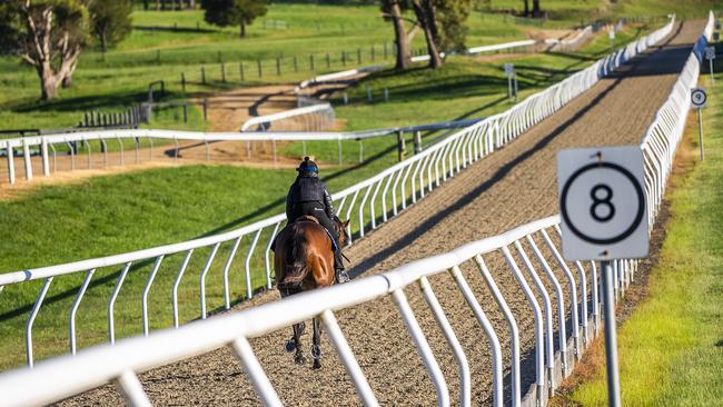 Macedon Lodge has approval house horses in 195 boxes, with 120 to be built.