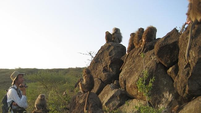 Australian Biologist Mat Pines has lived in the wilds of Ethiopia, studying a troop of baboons in the Awash National Park. Picture: Rea Tschopp.