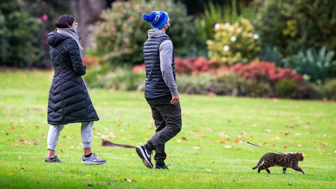 Cats are restricted from entering some areas of the Perth suburb. Picture: NewsWire / Sarah Matray