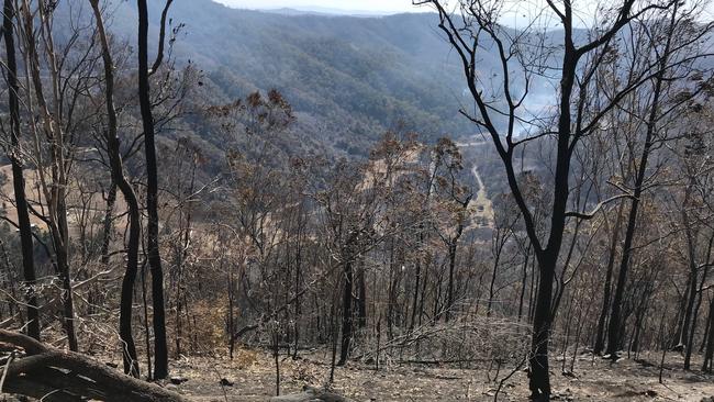 Total valley devastation at Sarabah on Monday, September 9, 2019 in the destructive southeast Queensland bush fires. Picture: Kirstin Payne