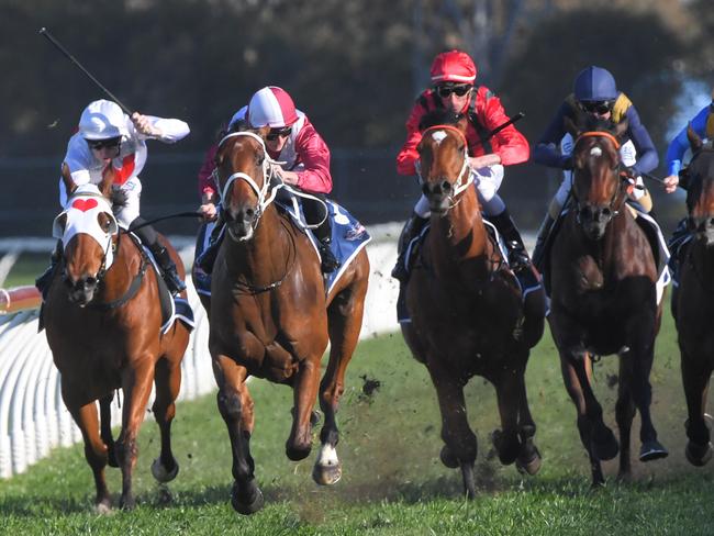 McDonald pilots Arcadia Queen (second from left) to victory in the Theo Marks Stakes.