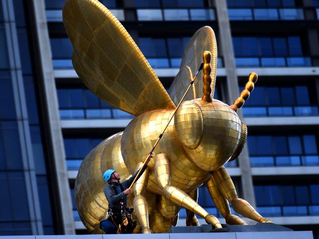 The Queen Bee gets a clean at Eureka Tower. Picture: Tony Gough