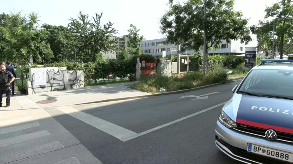 Shooter kills nine people at Austrian school